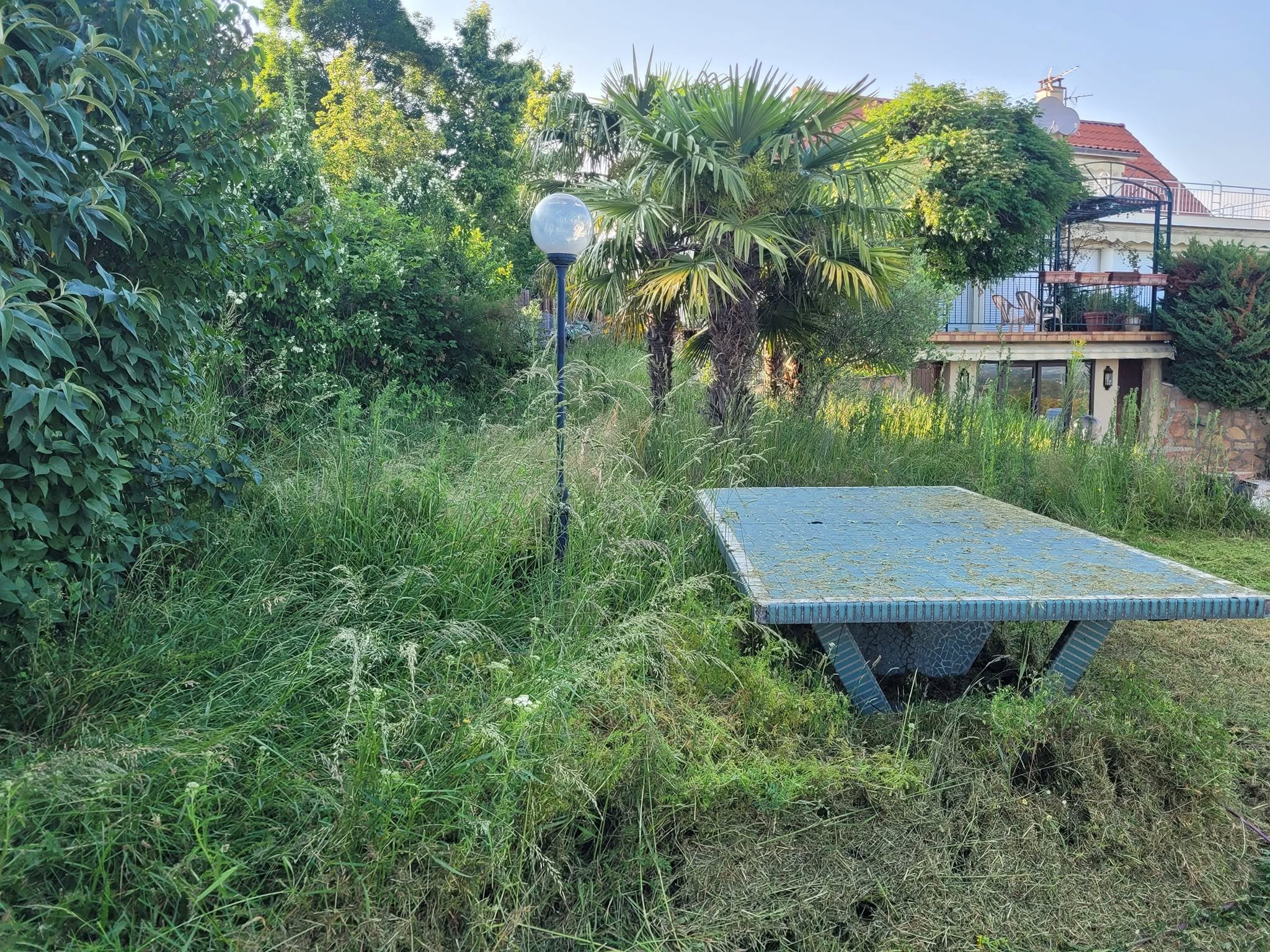 Jardin en friche avant l'intervention de RD Environnement à Renaison